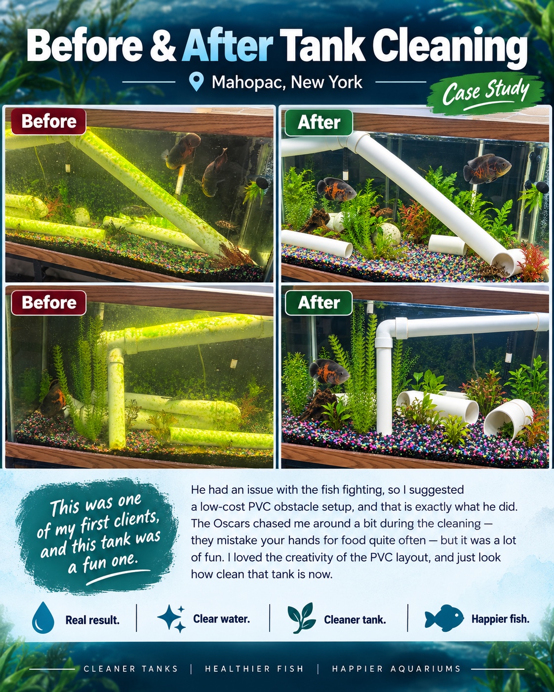 Before and after Oscar fish tank cleaning with PVC hiding areas in Mahopac, New York